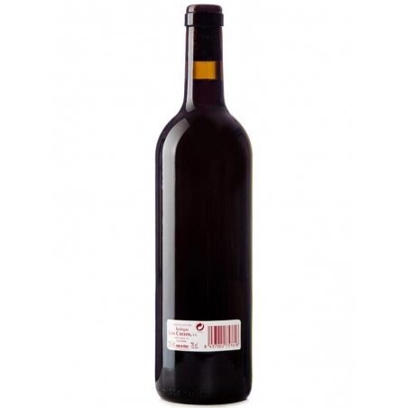 Sanz Calvo Harvest Red Wine Rioja - Bodegas Sanz Calvo