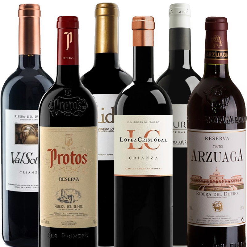 Crianza and Reserva Red Wine Ribera del Duero Selection - 6 Bottles