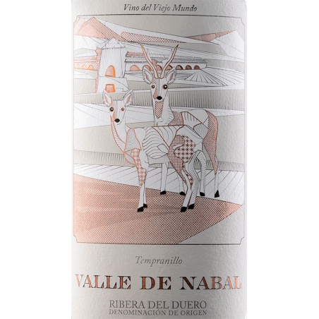 Valle de Nabal - Red Wine
