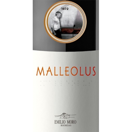 Malleolus - Ribera del Duero