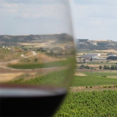 Vinos Ribera del Duero - Rueda - Comprar Vinos - Directo de la Bodega