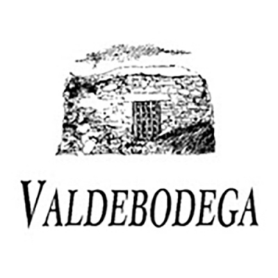 Bodegas y Viñedos Valdebodega