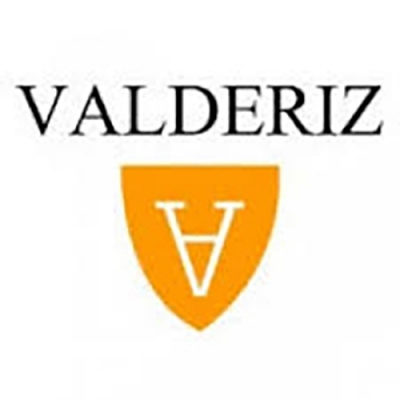 Bodegas y Viñedos Valderiz - Valdehermoso - Vinos Ribera del Duero