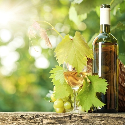 Vino Blanco Albariño, Godello, Chardonnay | Tienda de vinos online