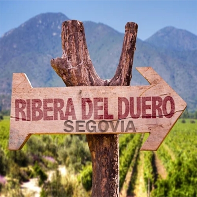 Ribera del Duero | SEGOVIA