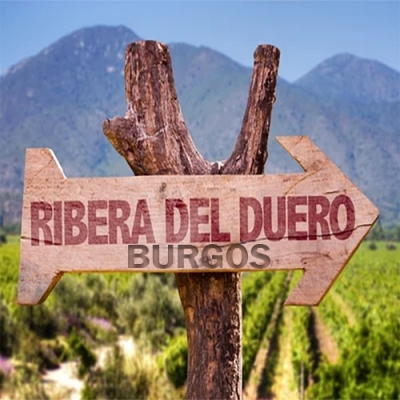 Zona Vinícola Ribera del Duero Burgos | Comprar Vinos Ribera del Duero