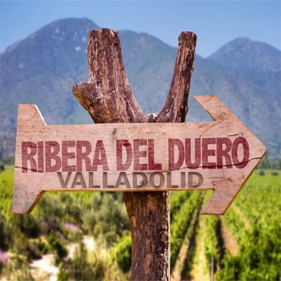 Zona Vinícola Ribera del Duero Valladolid | Vinos Ribera del Duero