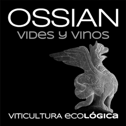 Ossian Vides y Vinos